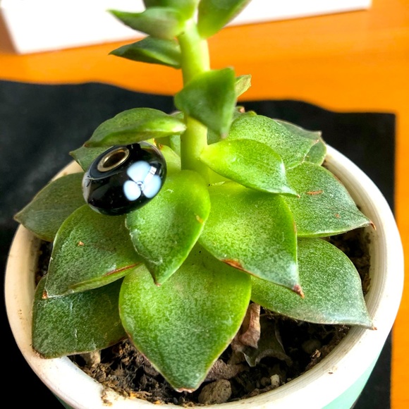 Flor Blanca Trollbead - Picture 2 of 3